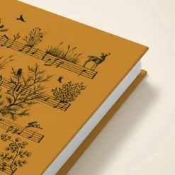 Novels & Notes