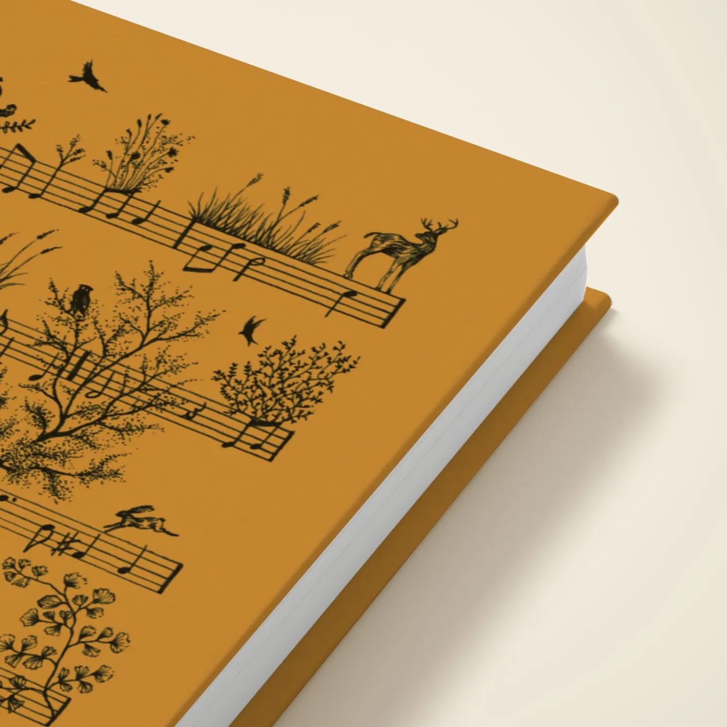 Novels & Notes