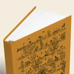 Novels & Notes