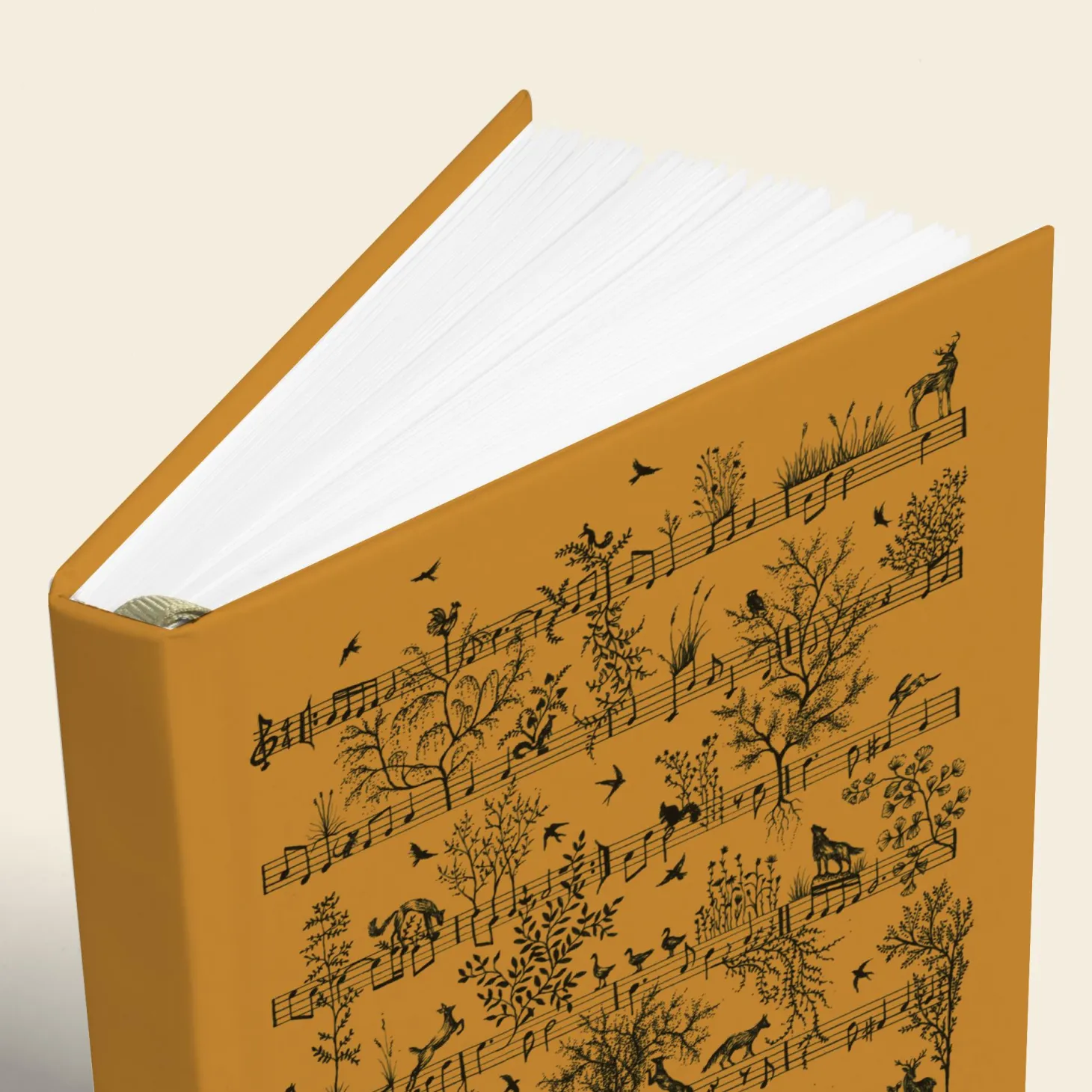 Novels & Notes