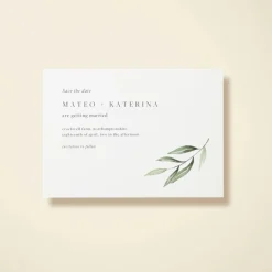 Olive Sprig
