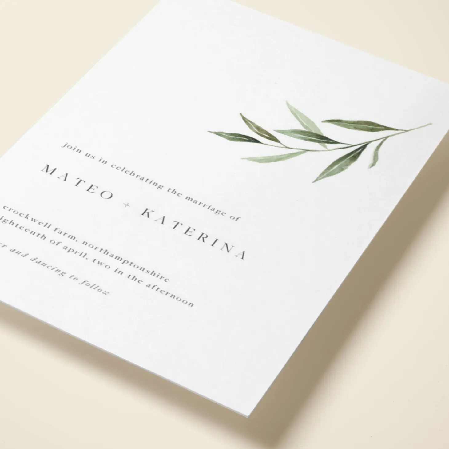 Olive Sprig