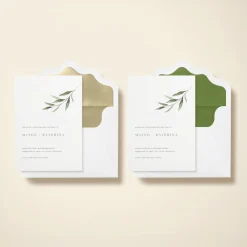Olive Sprig