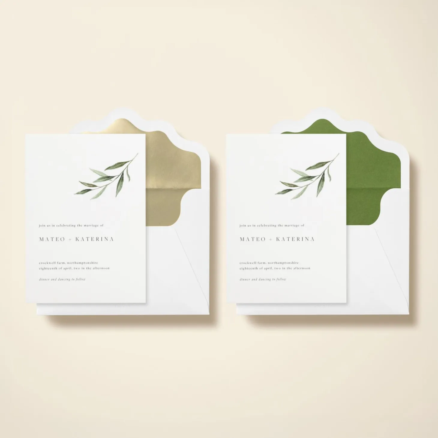 Olive Sprig