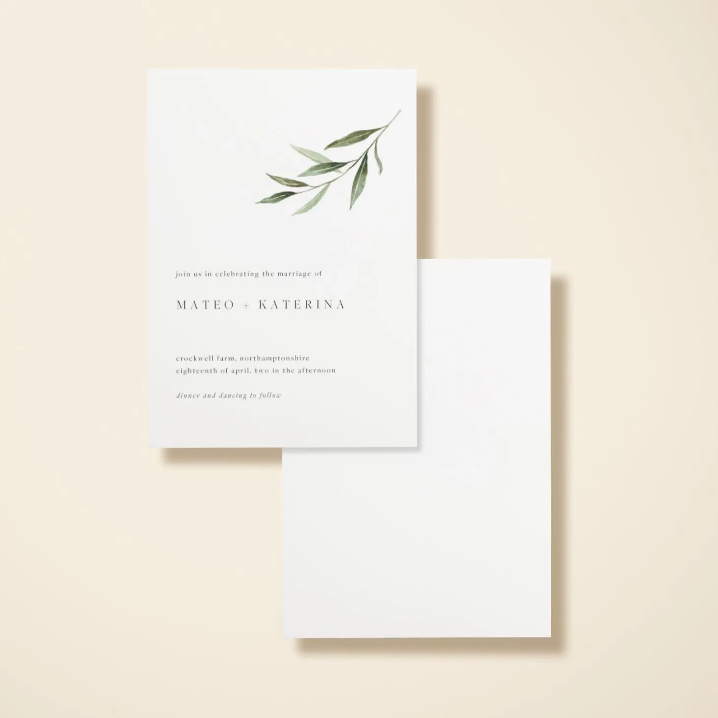 Olive Sprig