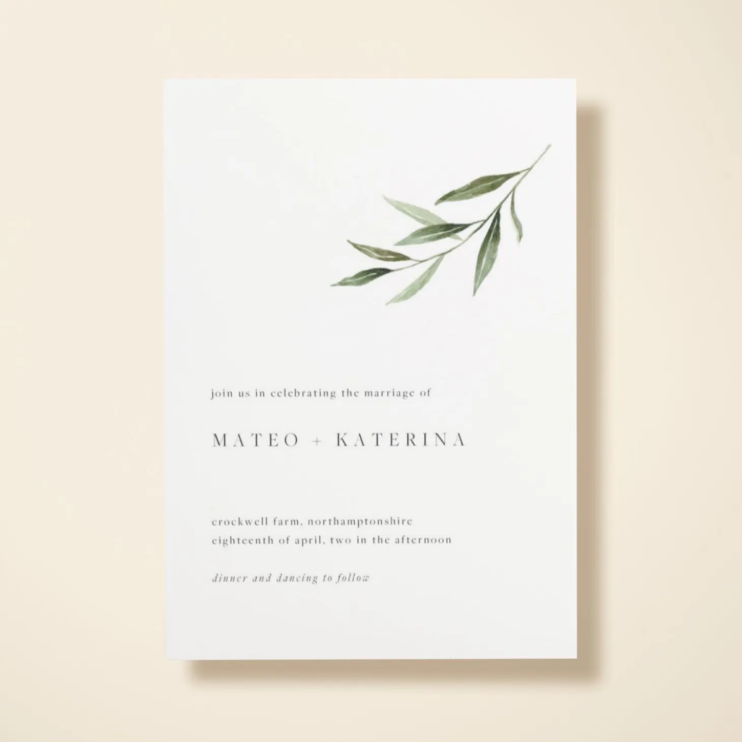 Olive Sprig