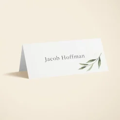 Olive Sprig