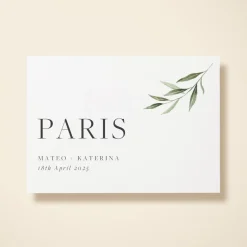 Olive Sprig