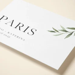 Olive Sprig