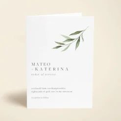 Olive Sprig