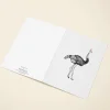 Ostrich