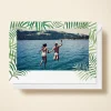 Palms Photo