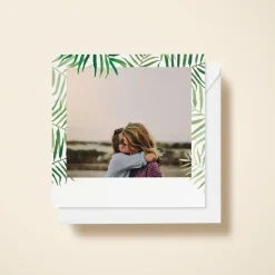 Palms Photo