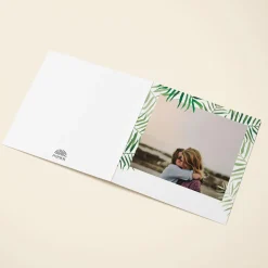 Palms Photo