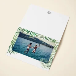 Palms Photo