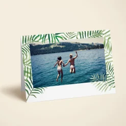 Palms Photo