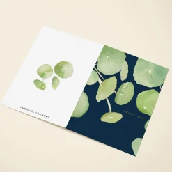 Pancake Plant Thanks