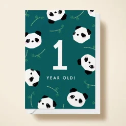 Panda 1st Birthday