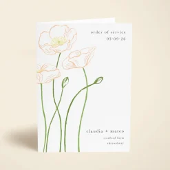 Peace Poppies