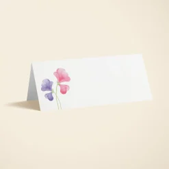 Pink Sweet Peas