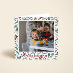 Poinsettia Scatter Photo