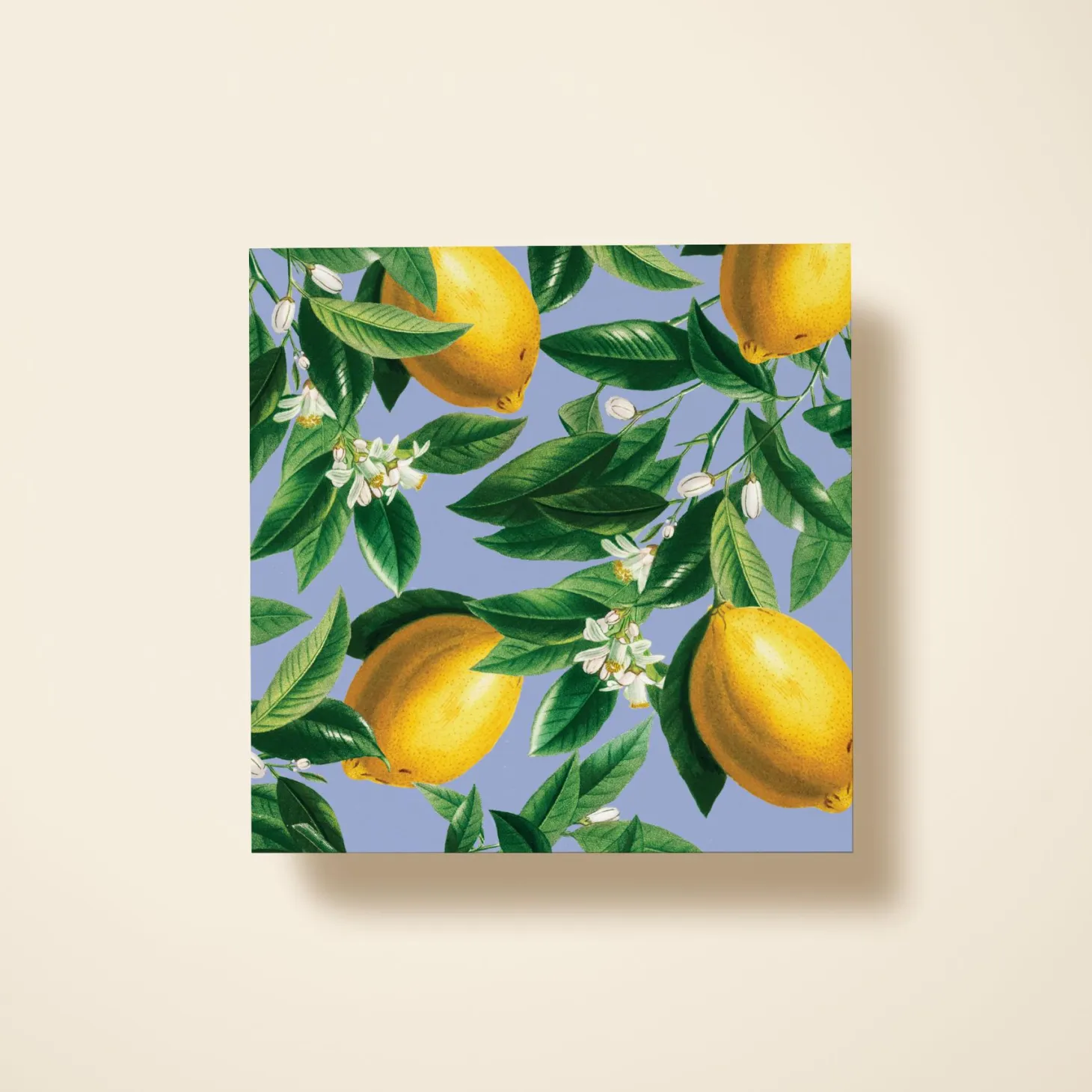 Sicilian Lemons