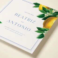 Sicilian Lemons