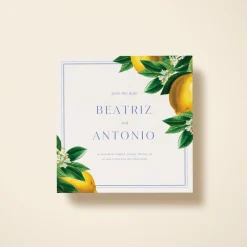 Sicilian Lemons