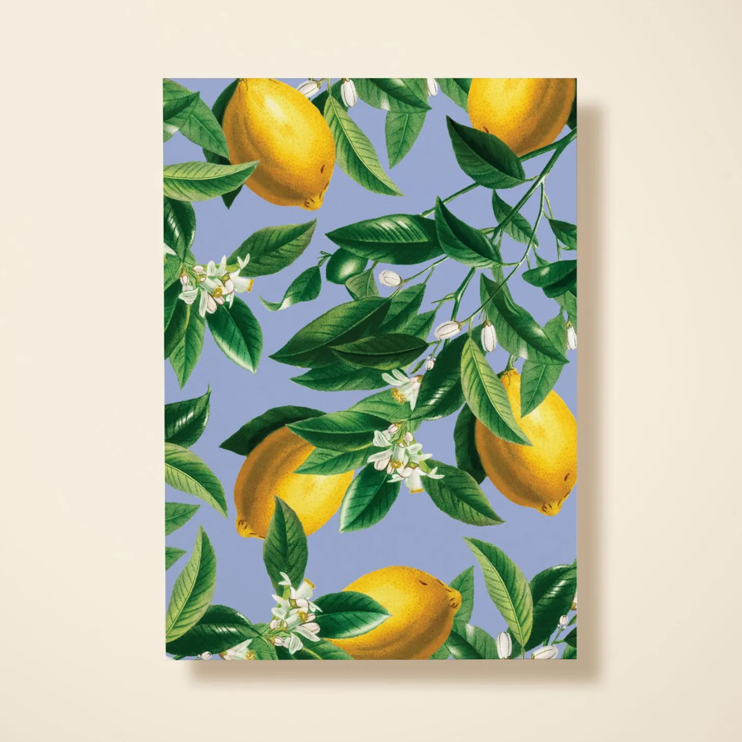 Sicilian Lemons