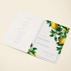 Sicilian Lemons