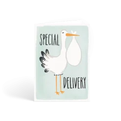 Special Delivery