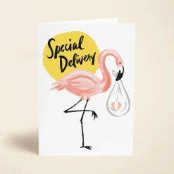 Special Delivery Flamingo