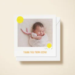 Spring Chick Photo