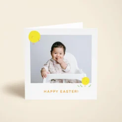 Spring Chick Photo