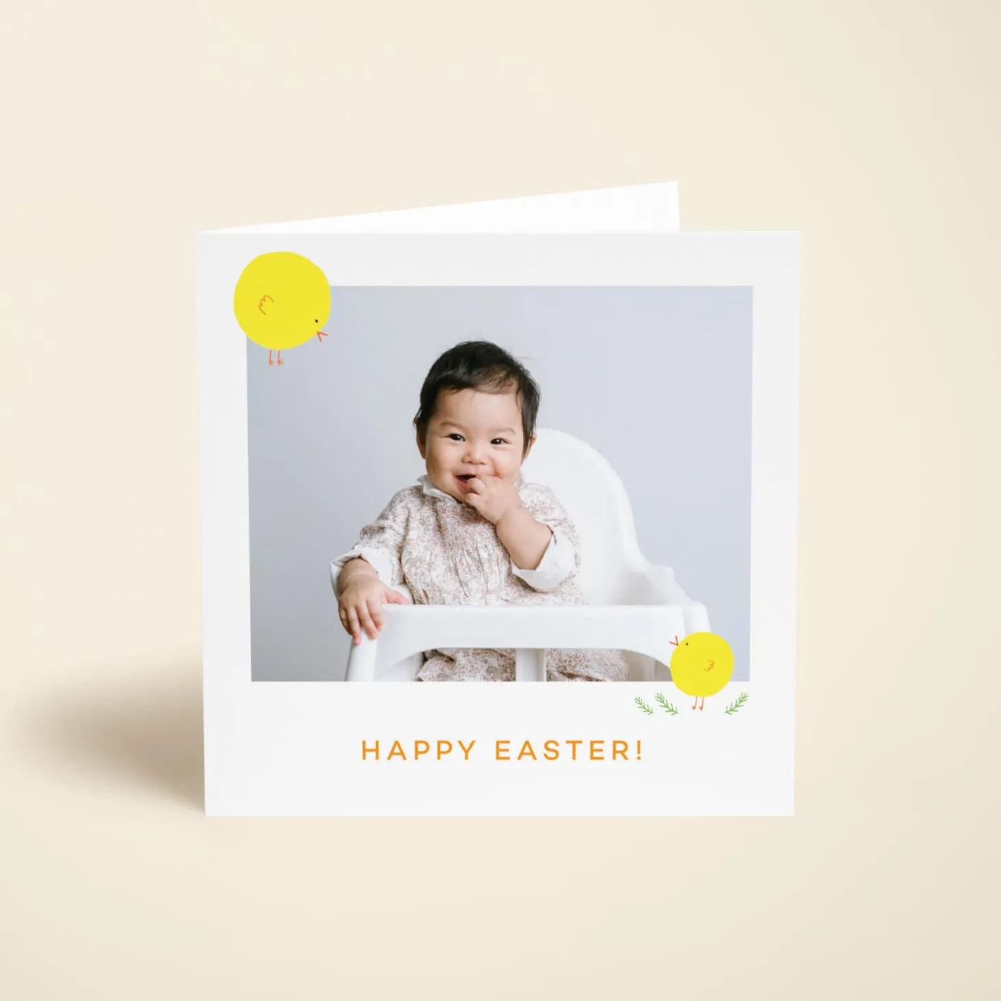 Spring Chick Photo
