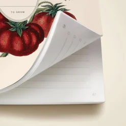Strawberry Blossom