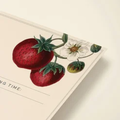 Strawberry Blossom