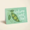 Sweet Pea