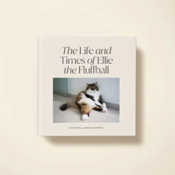 The Life Of