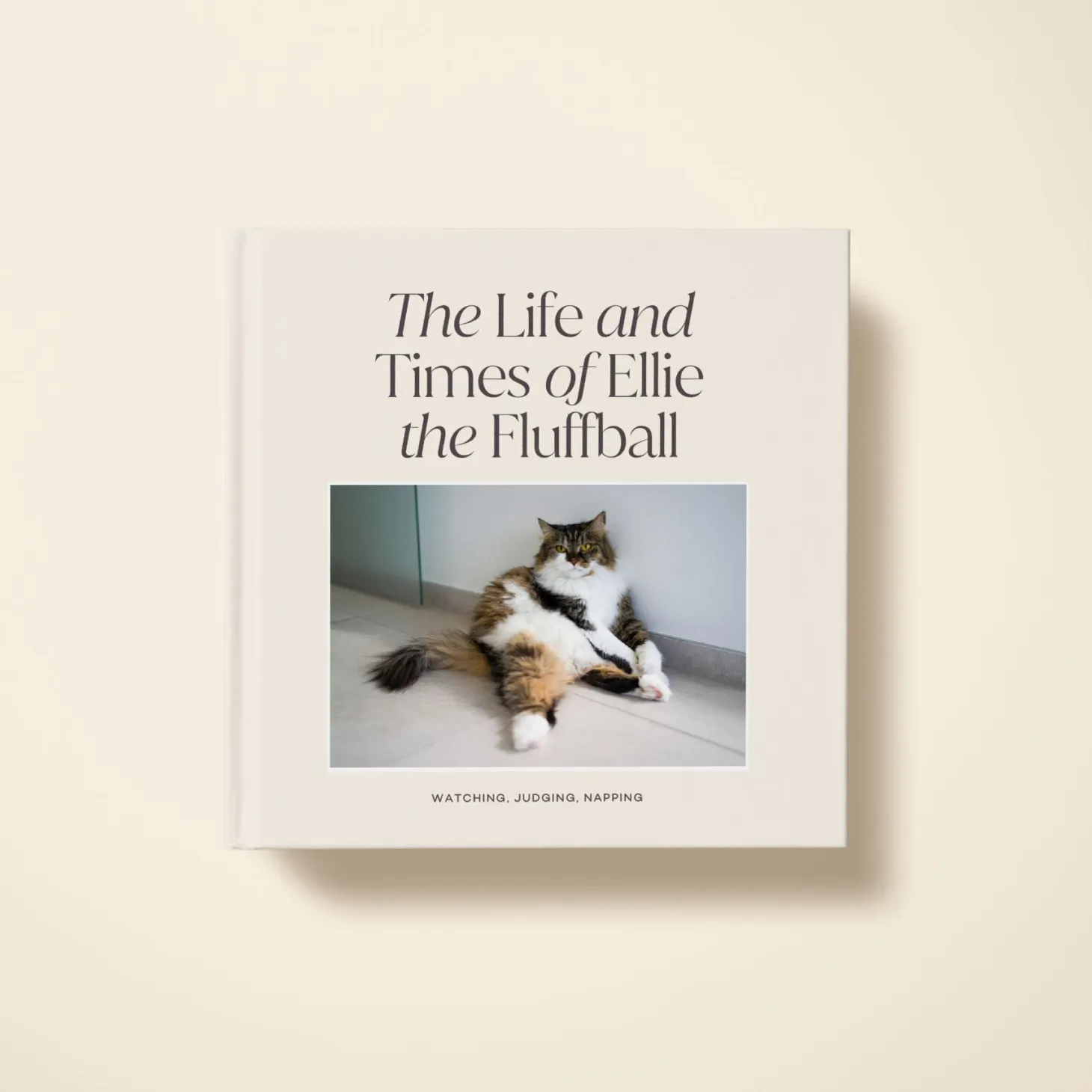 The Life Of