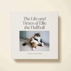 The Life Of