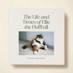 The Life Of