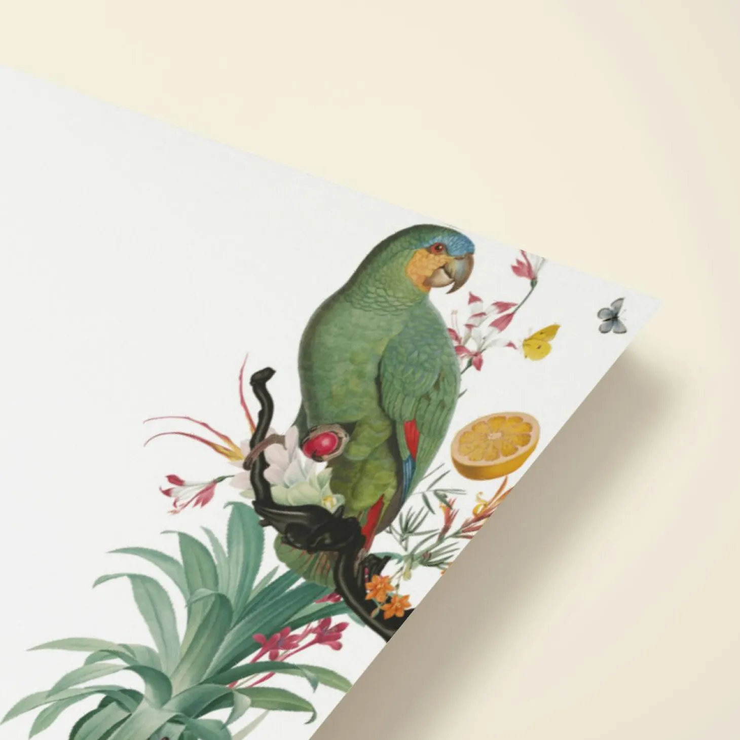 Tropical Escape
