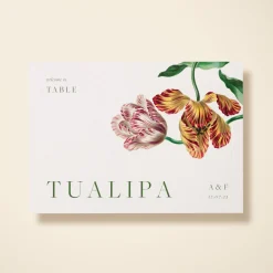 Tualipia