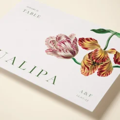 Tualipia