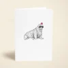 Walrus