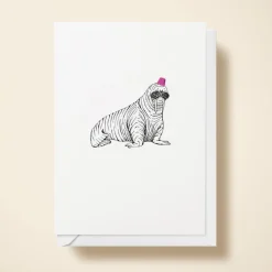 Walrus