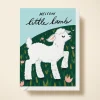 Welcome Little Lamb
