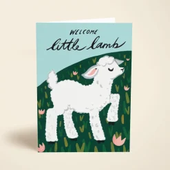 Welcome Little Lamb