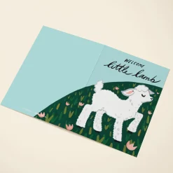 Welcome Little Lamb